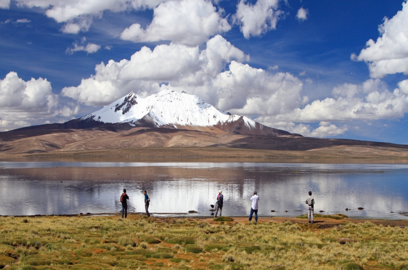 LAUCA
