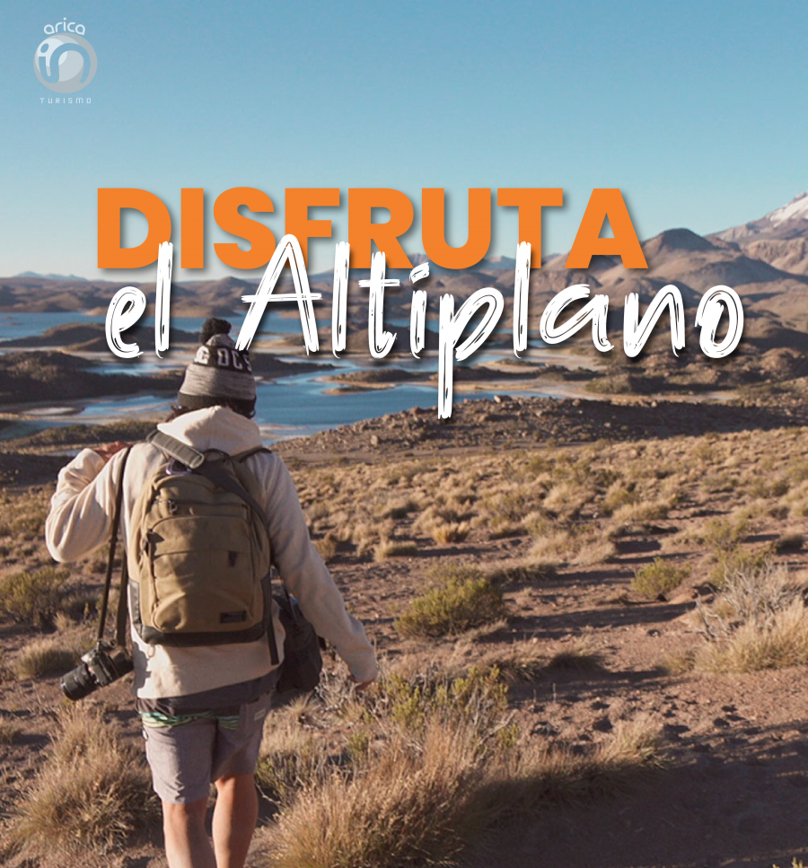 ALTIPLANO